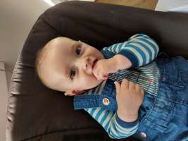 louis
